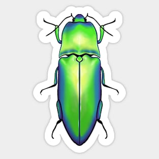 Beetle Sticker